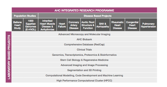 AHC Research areas consists of a continuum of population science, translational, and basic science research targeting specific diseases with significant relevance to the population of Egypt, Africa and the world